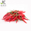 poudre de piment rouge poudre directe